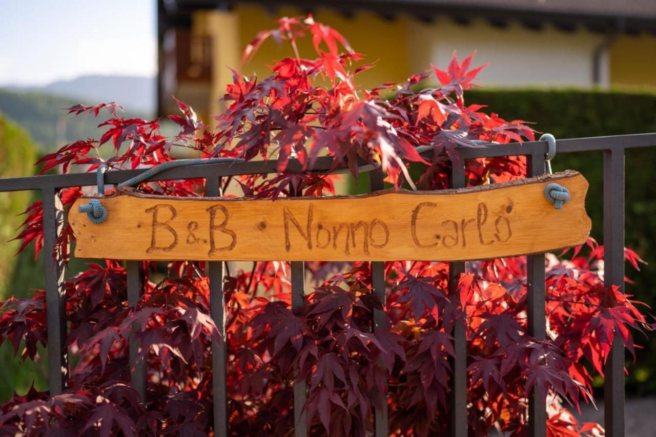B&B Nonno Carlo 트렌토 외부 사진